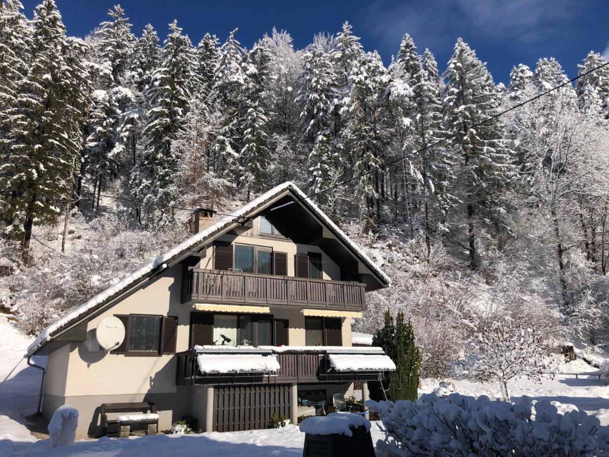 Savadolinka House Apartman Mojstrana Kültér fotó
