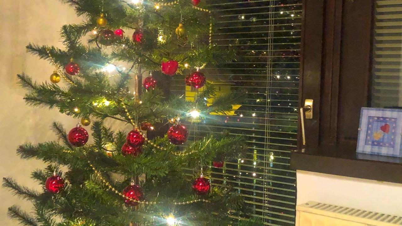 Savadolinka House Apartman Mojstrana Kültér fotó